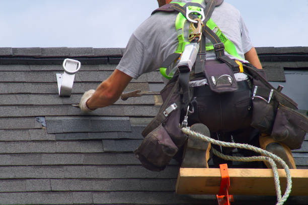Best Storm Damage Roof Repair  in Luck, WI