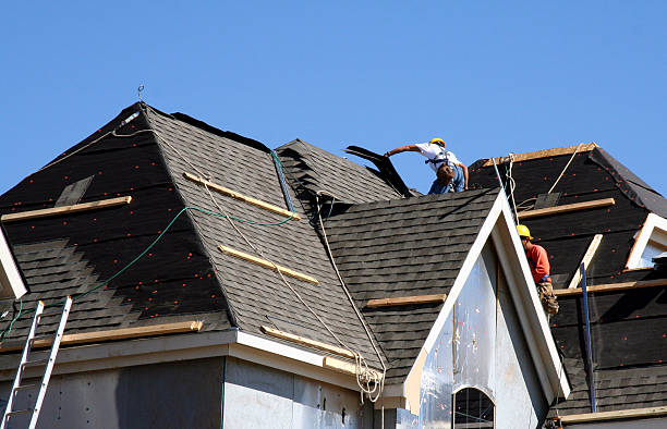 Best Roofing Contractor Near Me  in Luck, WI