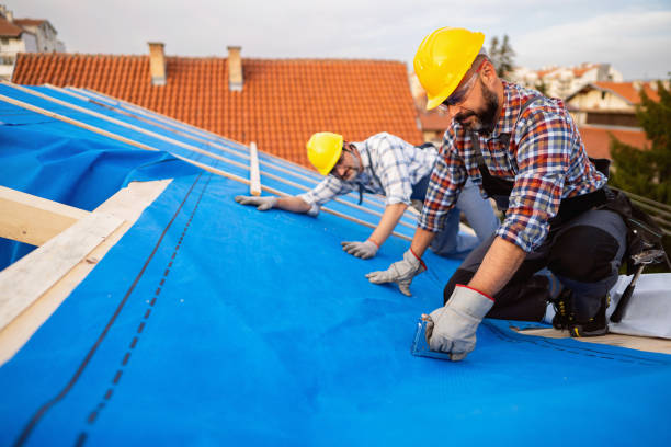Best New Roof Installation  in Luck, WI
