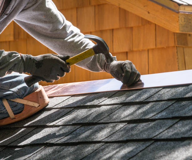 Best Metal Roofing Contractor  in Luck, WI